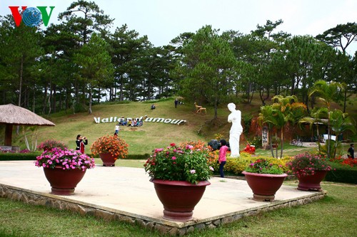 Da Lat – the world’s best city for lovers  - ảnh 11